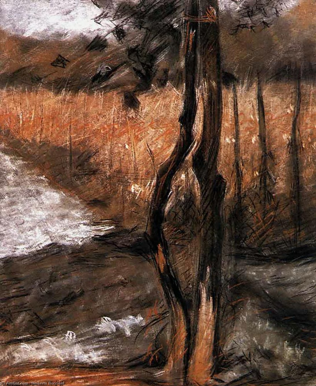 Wikioo.org - The Encyclopedia of Fine Arts - Painting, Artwork by Umberto Boccioni - Trees