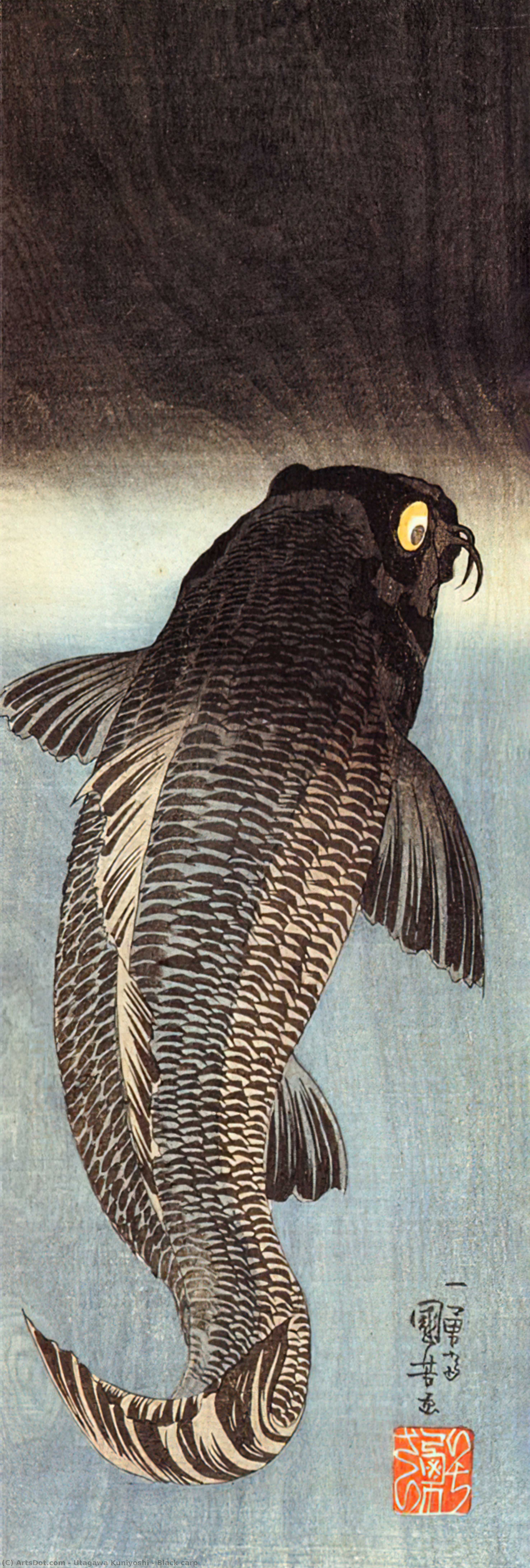 WikiOO.org - Енциклопедия за изящни изкуства - Живопис, Произведения на изкуството Utagawa Kuniyoshi - Black carp