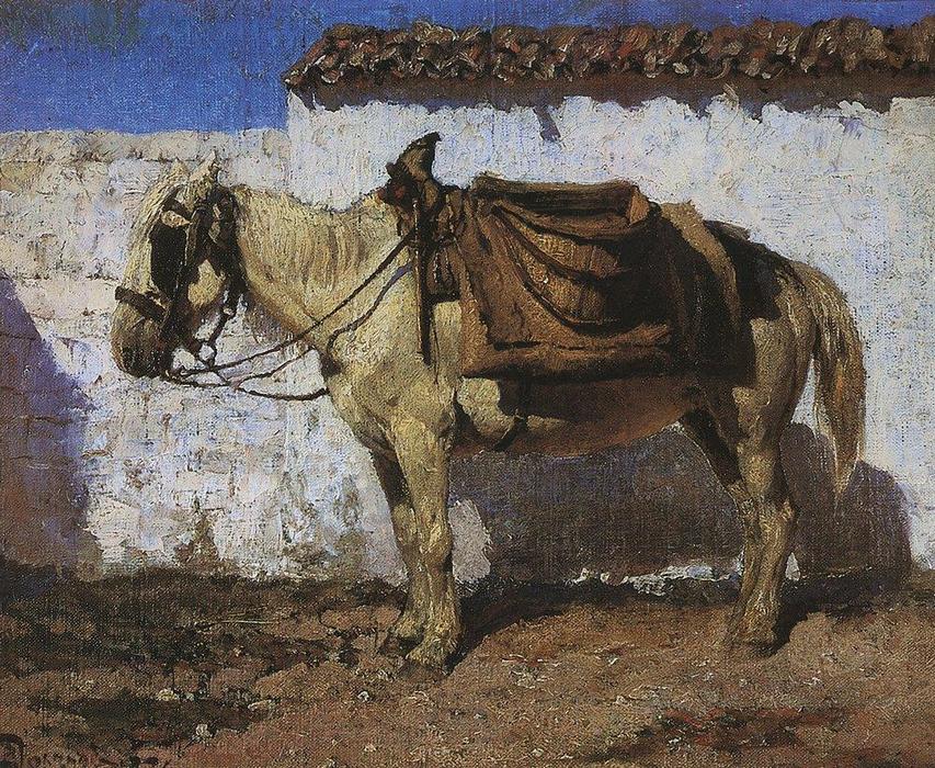Wikioo.org - The Encyclopedia of Fine Arts - Painting, Artwork by Vasily Dmitrievich Polenov - White Horse. Normandy.