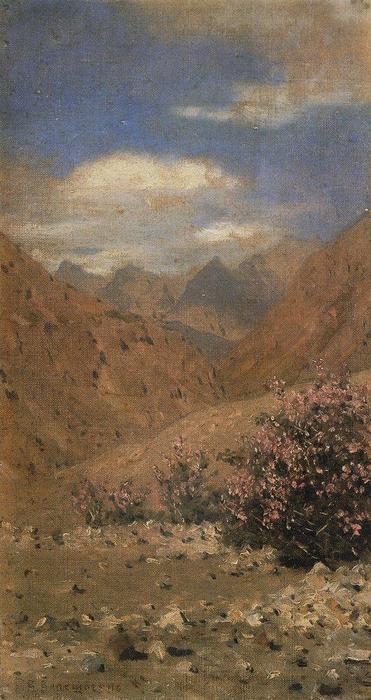 Wikioo.org - The Encyclopedia of Fine Arts - Painting, Artwork by Vasily Vasilevich Vereshchagin - Roses in Ladakh