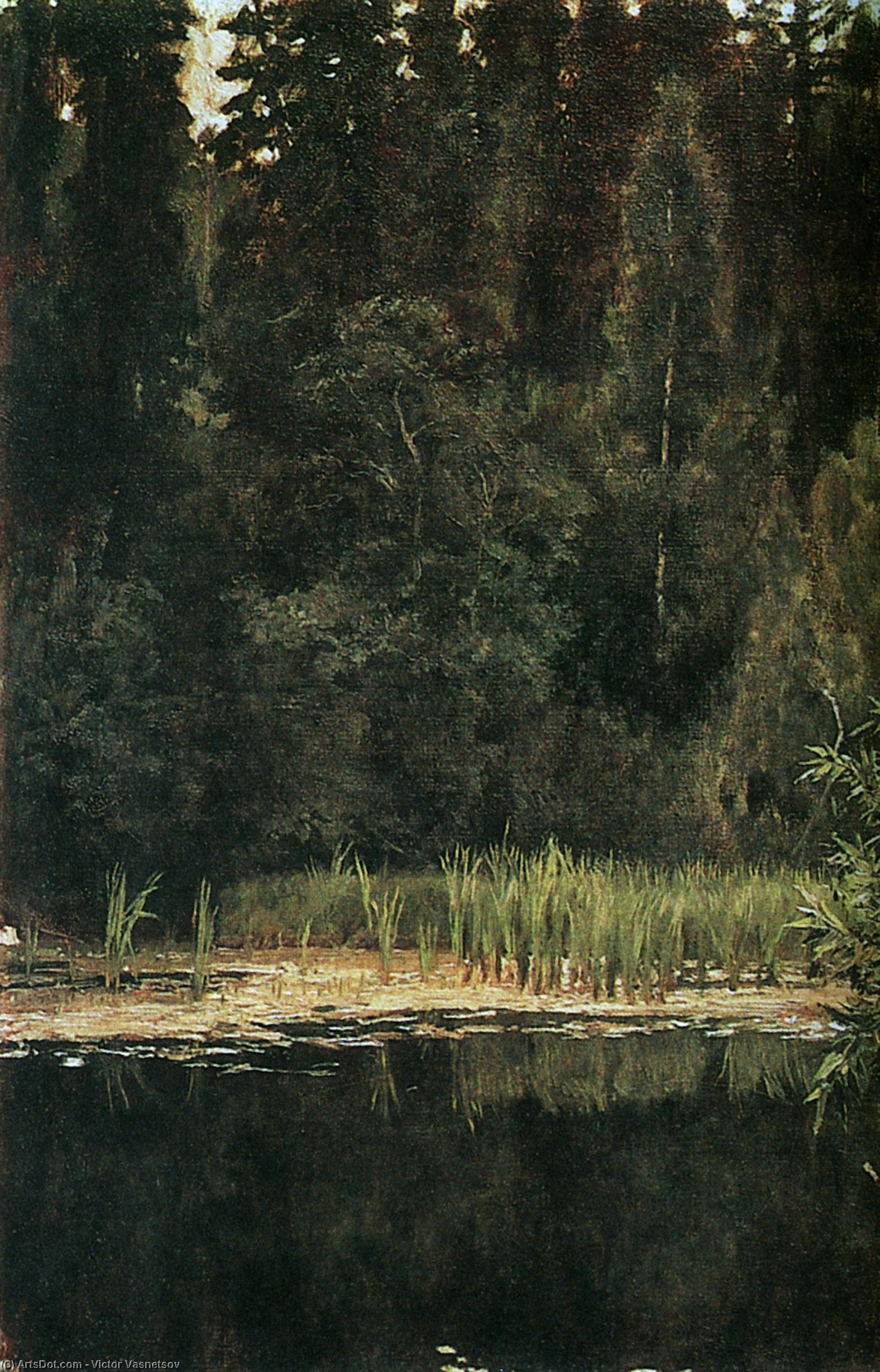 Wikioo.org - The Encyclopedia of Fine Arts - Painting, Artwork by Victor Vasnetsov - Pond in Akhtyrka