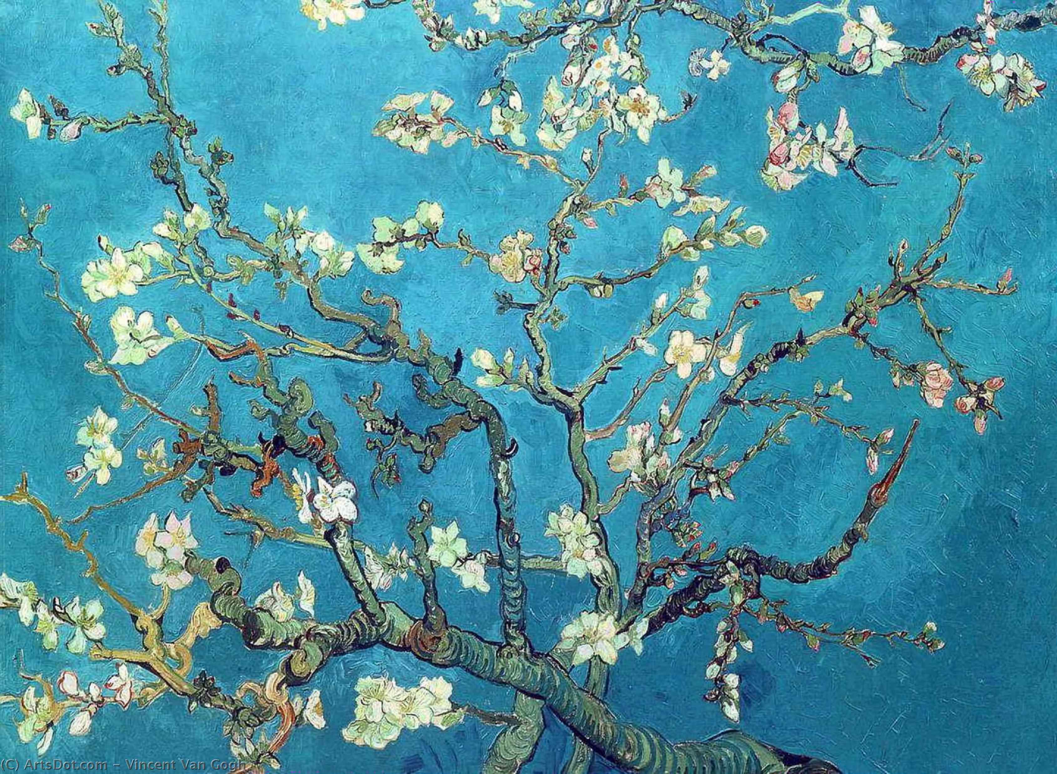 Wikoo.org - موسوعة الفنون الجميلة - اللوحة، العمل الفني Vincent Van Gogh - Branches with Almond Blossom