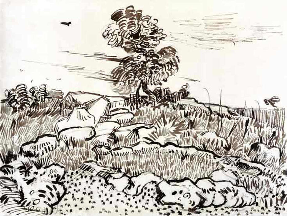 Wikioo.org - Bách khoa toàn thư về mỹ thuật - Vẽ tranh, Tác phẩm nghệ thuật Vincent Van Gogh - Rocky Ground at Montmajour