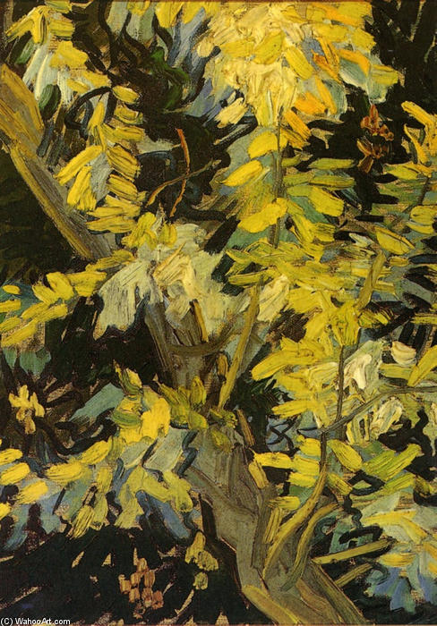WikiOO.org - Encyclopedia of Fine Arts - Malba, Artwork Vincent Van Gogh - Blossoming Acacia Branches