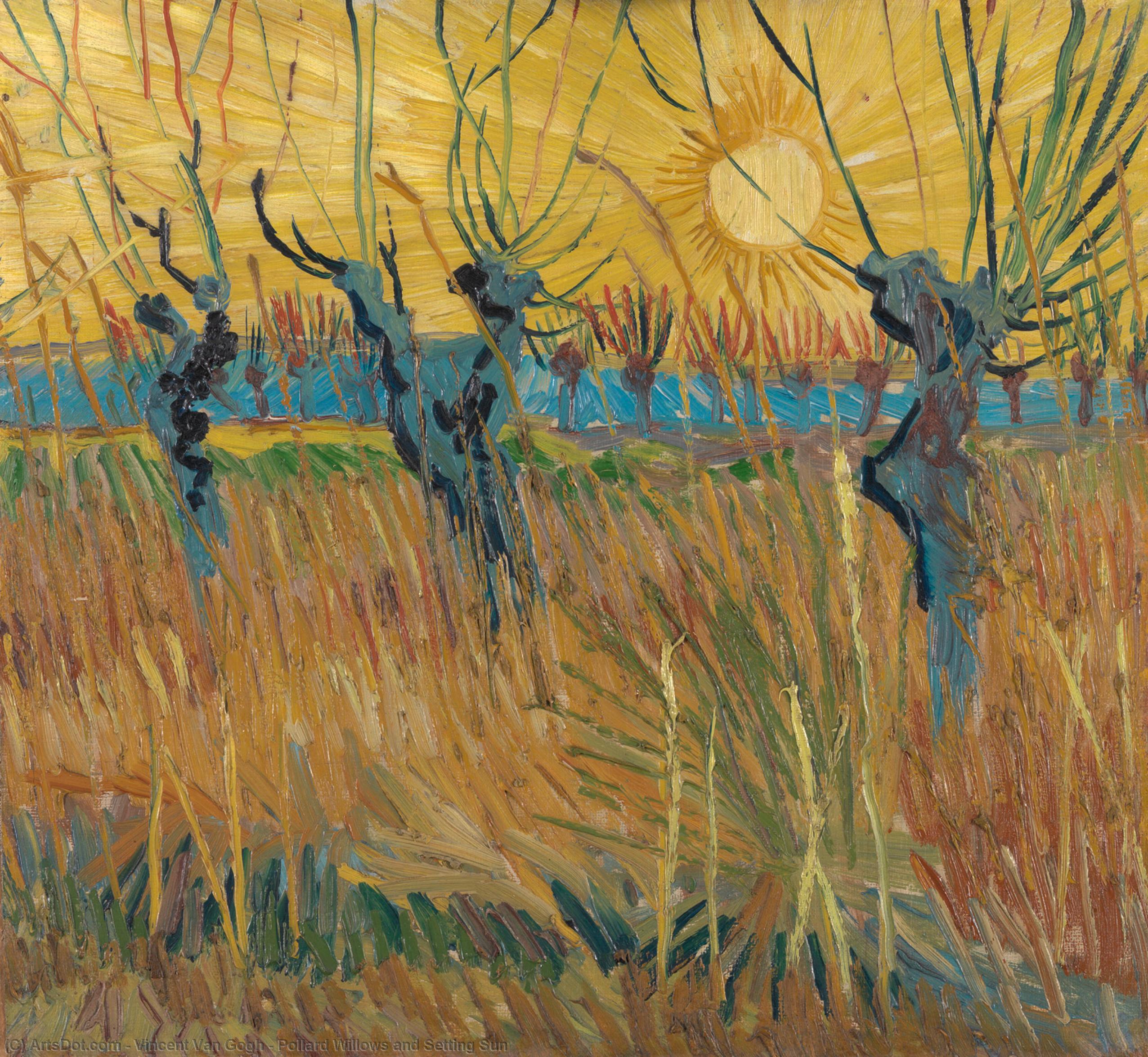 Wikioo.org - Bách khoa toàn thư về mỹ thuật - Vẽ tranh, Tác phẩm nghệ thuật Vincent Van Gogh - Pollard Willows and Setting Sun