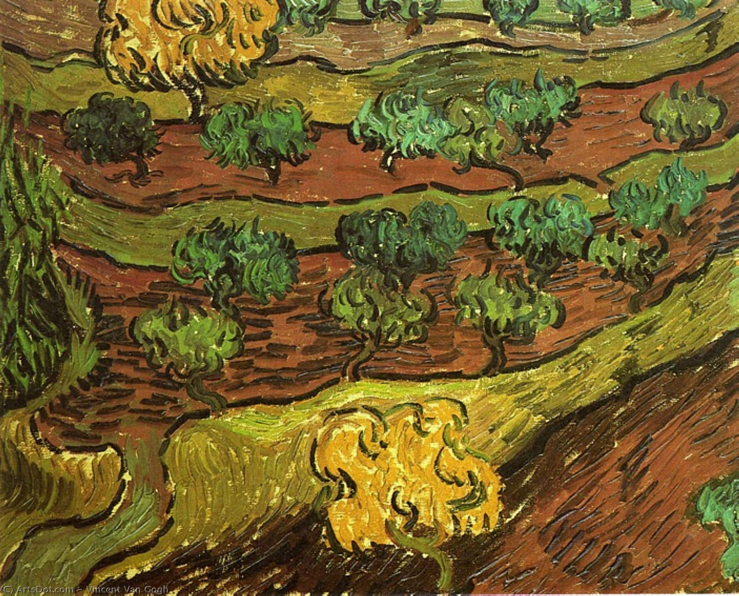 Wikioo.org - The Encyclopedia of Fine Arts - Painting, Artwork by Vincent Van Gogh - Olive Trees against a Slope of a Hill