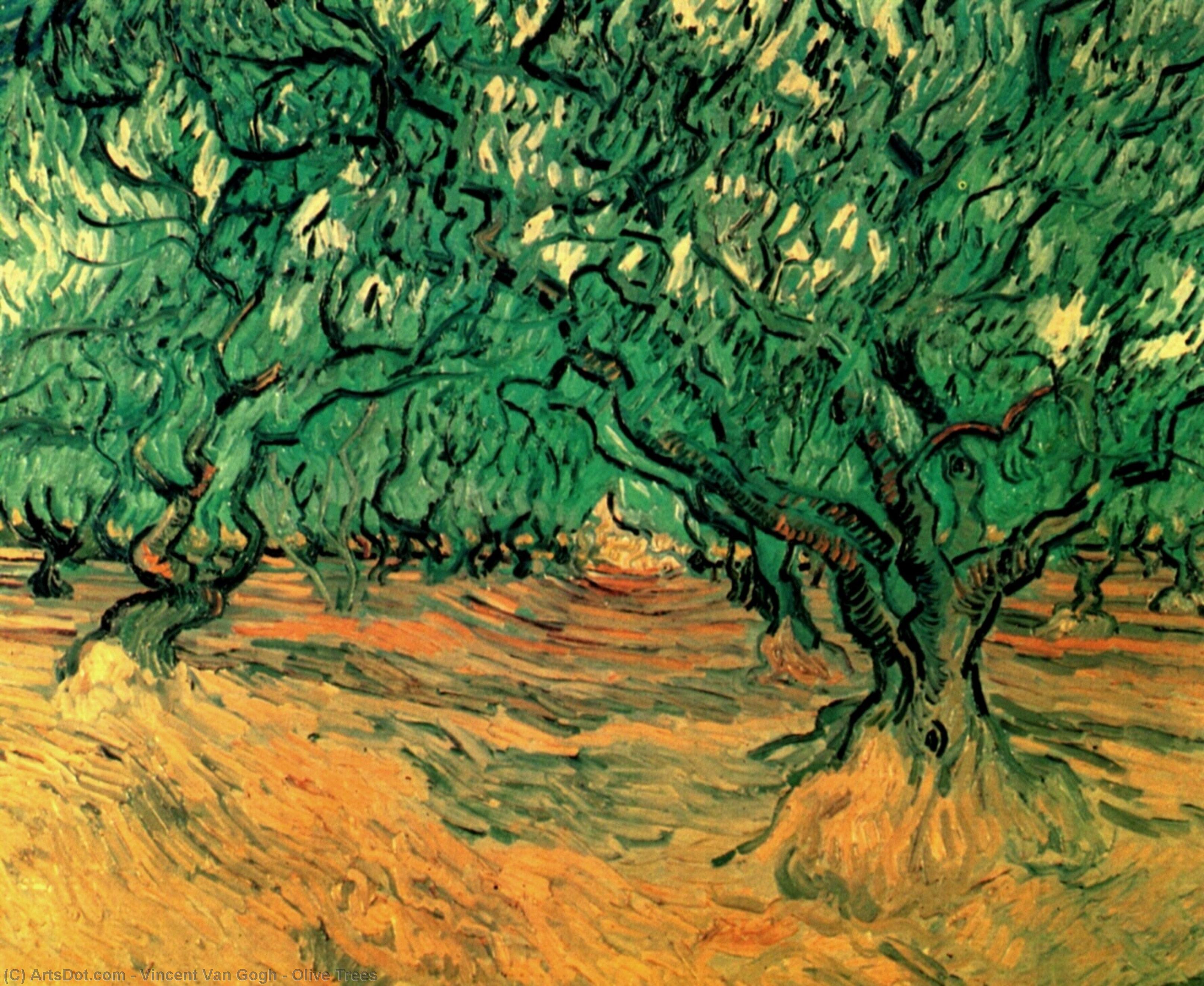 Wikioo.org - The Encyclopedia of Fine Arts - Painting, Artwork by Vincent Van Gogh - Olive Trees