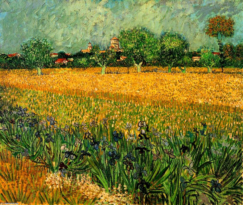 Wikioo.org - The Encyclopedia of Fine Arts - Painting, Artwork by Vincent Van Gogh - View of Arles with Irises in the Foreground