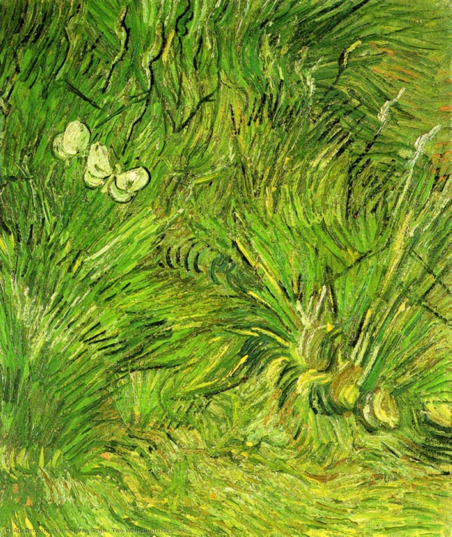 Wikioo.org - The Encyclopedia of Fine Arts - Painting, Artwork by Vincent Van Gogh - Two White Butterflies