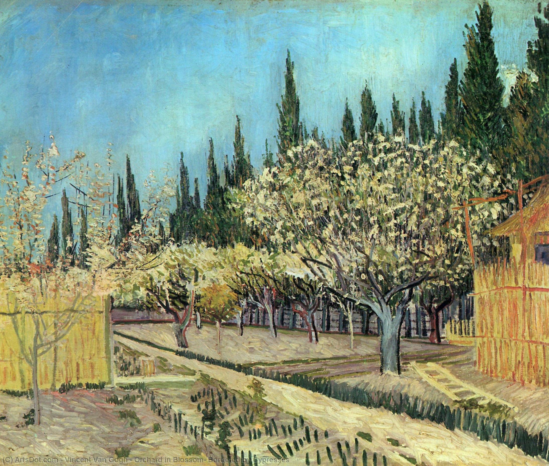 WikiOO.org – 美術百科全書 - 繪畫，作品 Vincent Van Gogh - 果园开花，由柏树接壤