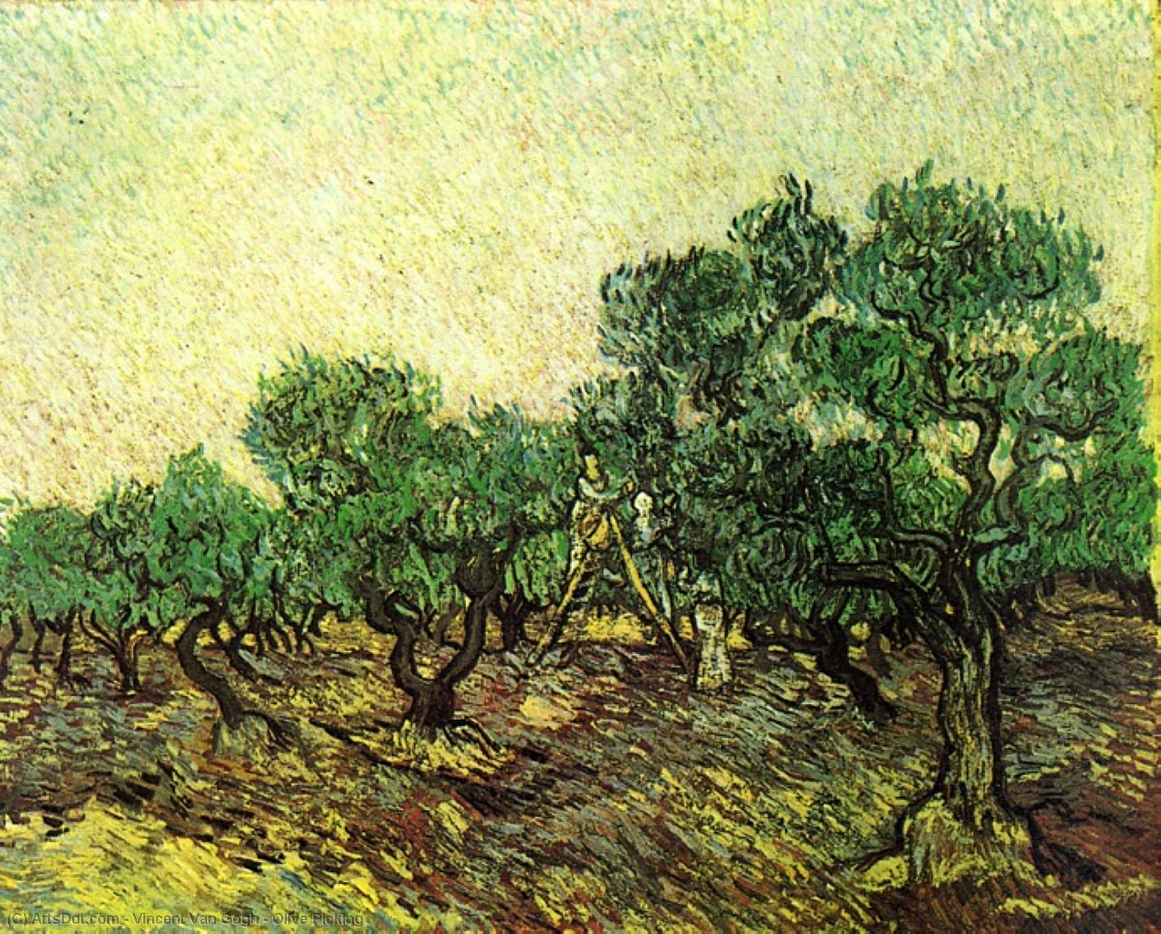Wikioo.org - The Encyclopedia of Fine Arts - Painting, Artwork by Vincent Van Gogh - Olive Picking