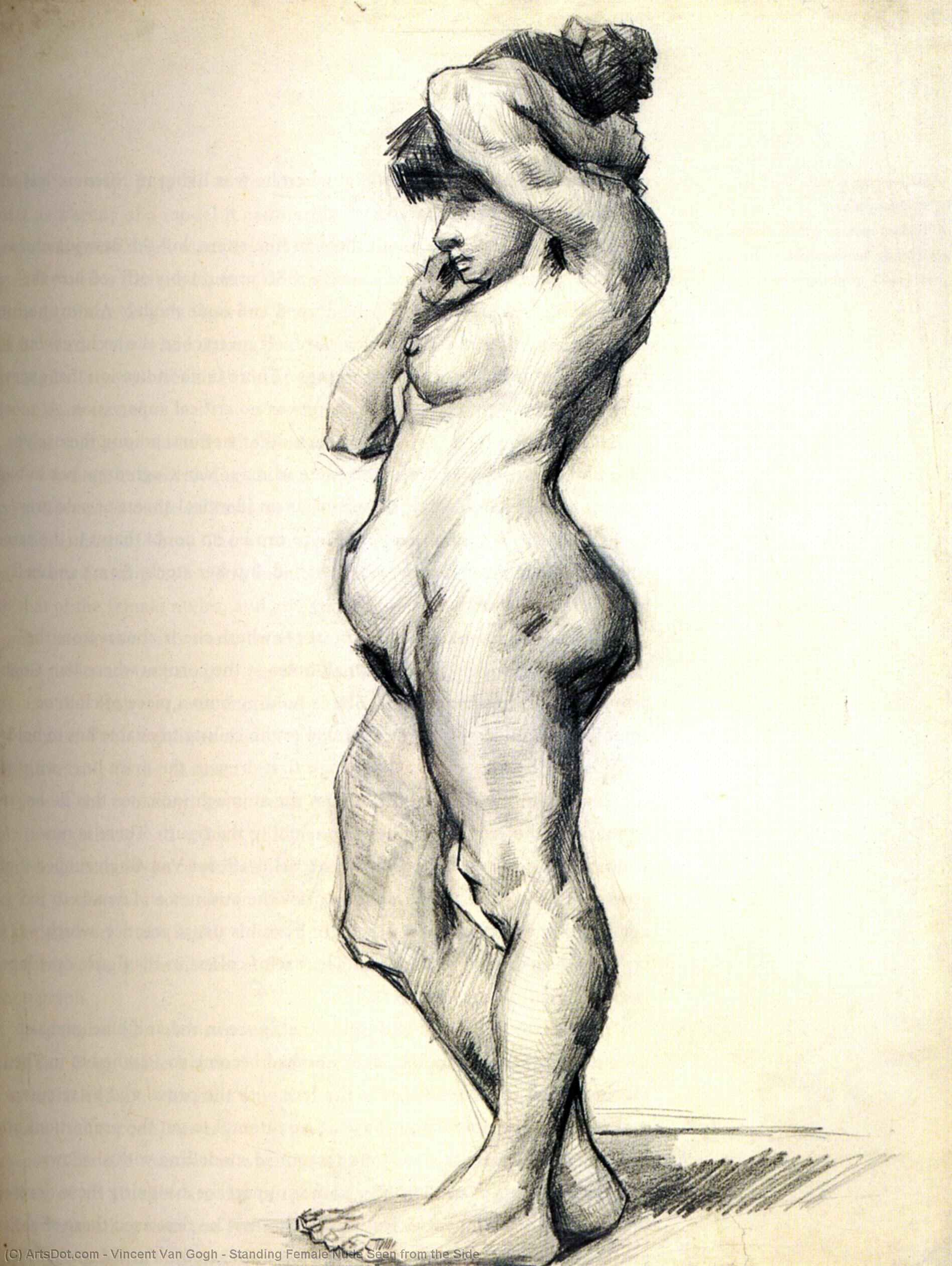 WikiOO.org - Enciklopedija likovnih umjetnosti - Slikarstvo, umjetnička djela Vincent Van Gogh - Standing Female Nude Seen from the Side