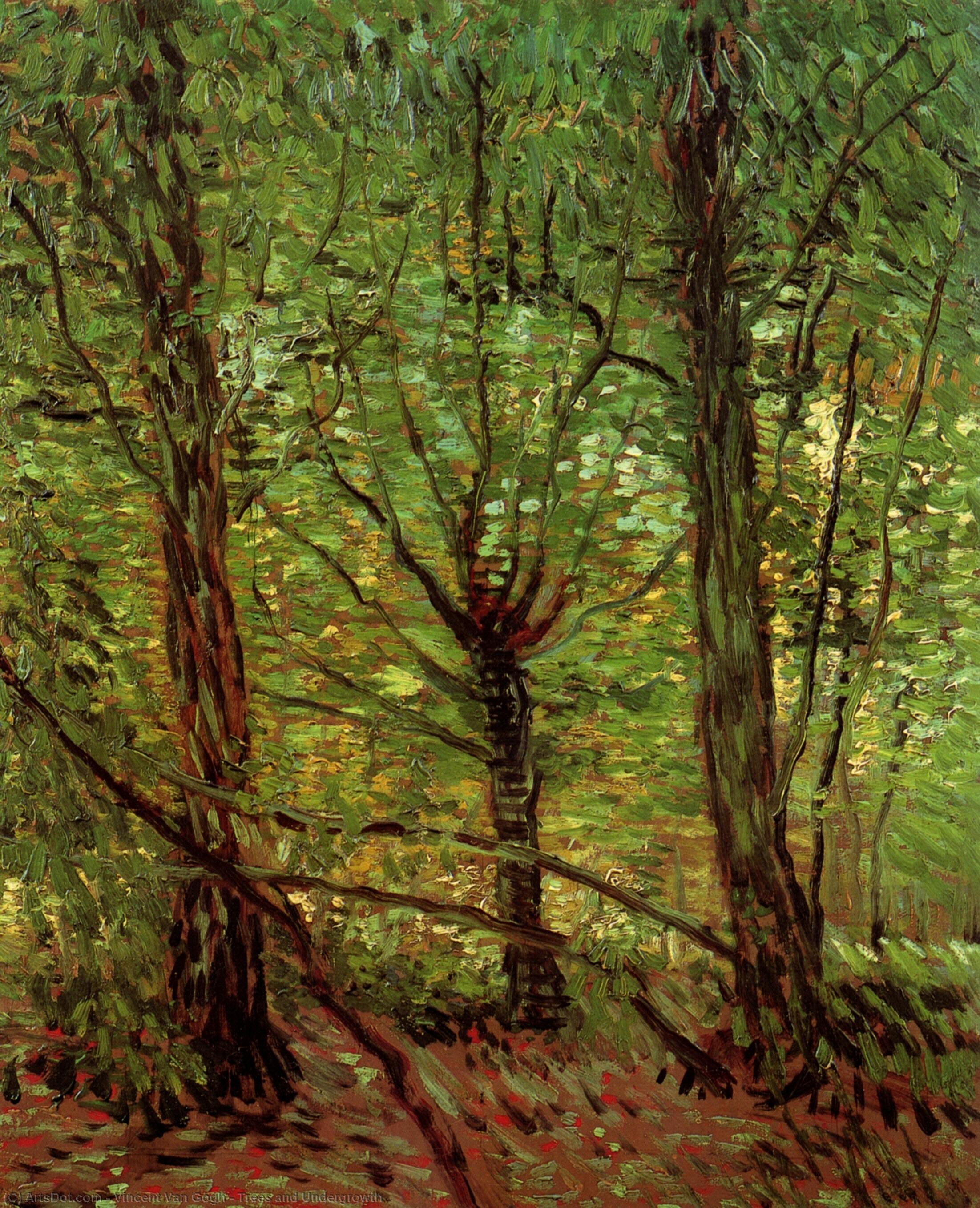 Wikioo.org - The Encyclopedia of Fine Arts - Painting, Artwork by Vincent Van Gogh - Trees and Undergrowth
