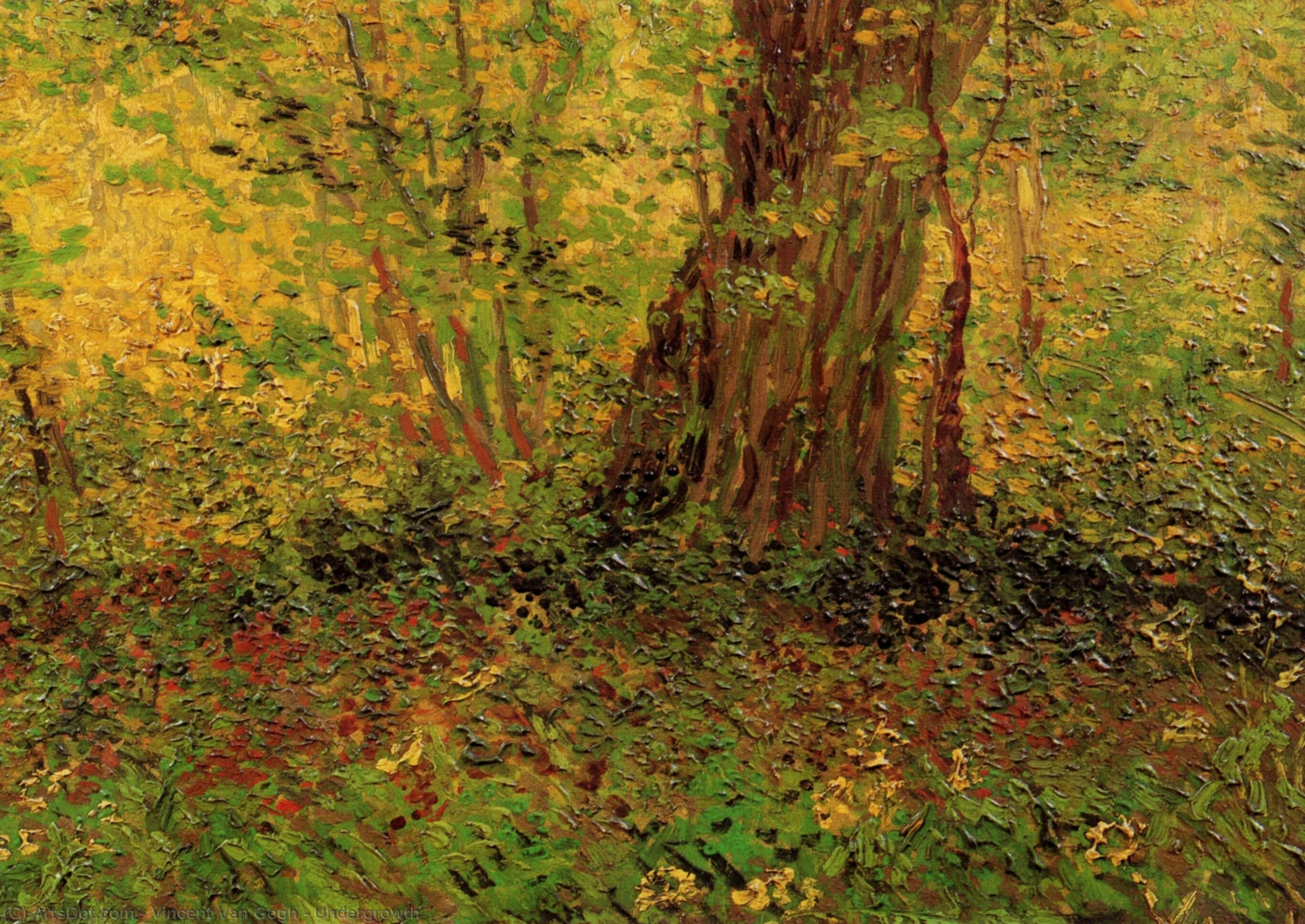 WikiOO.org – 美術百科全書 - 繪畫，作品 Vincent Van Gogh - 发育不全