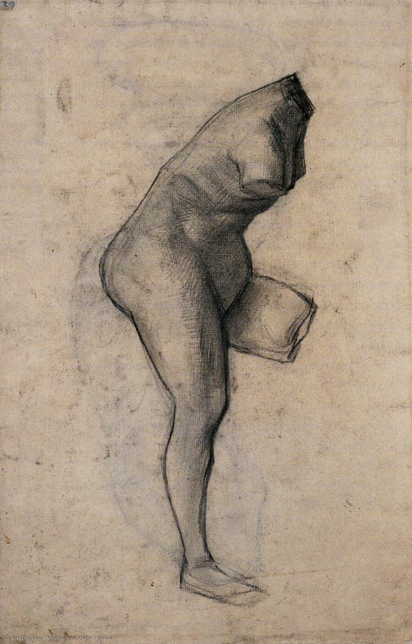WikiOO.org - Encyclopedia of Fine Arts - Lukisan, Artwork Vincent Van Gogh - Venus