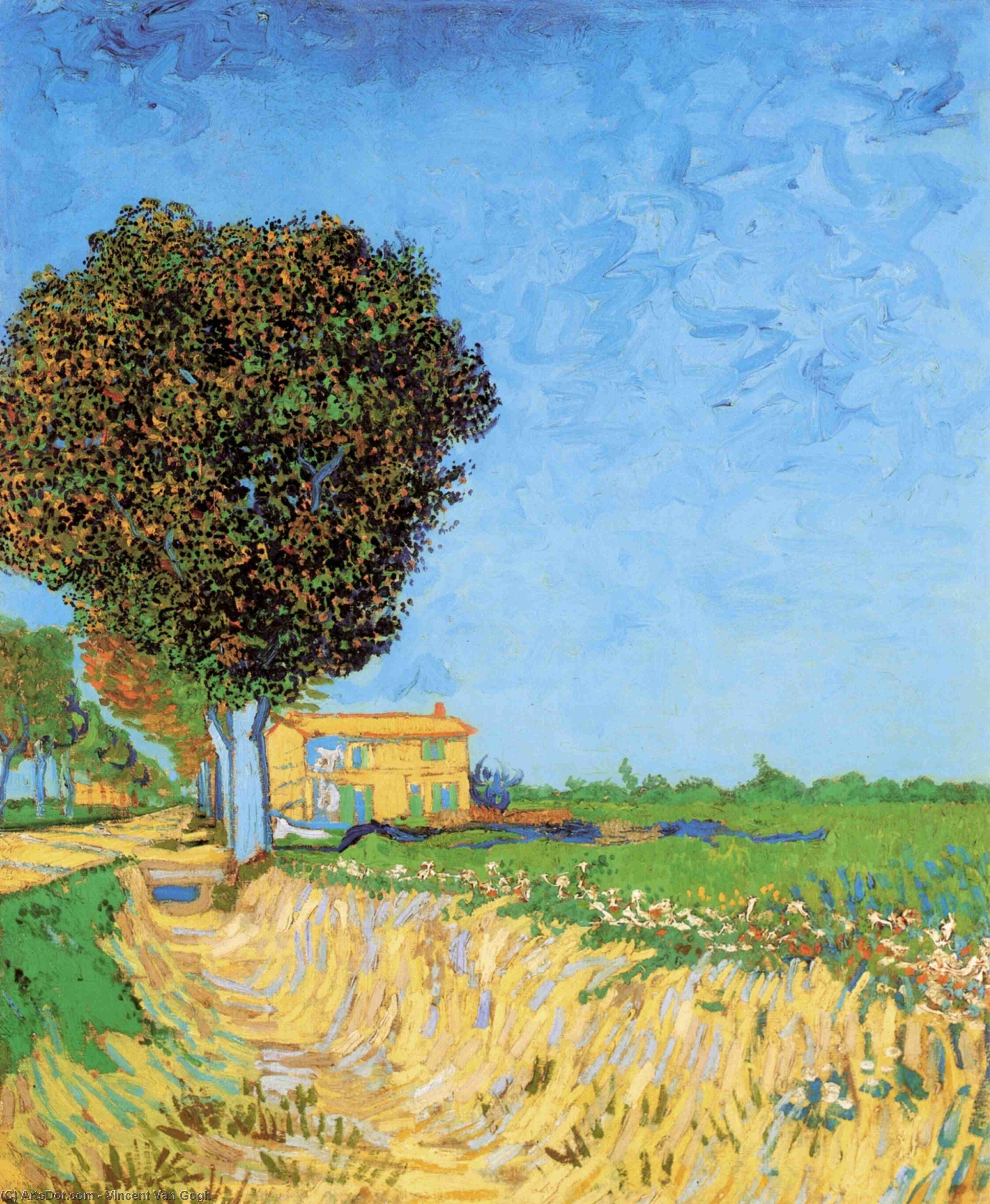 Wikioo.org - The Encyclopedia of Fine Arts - Painting, Artwork by Vincent Van Gogh - A Lane near Arles