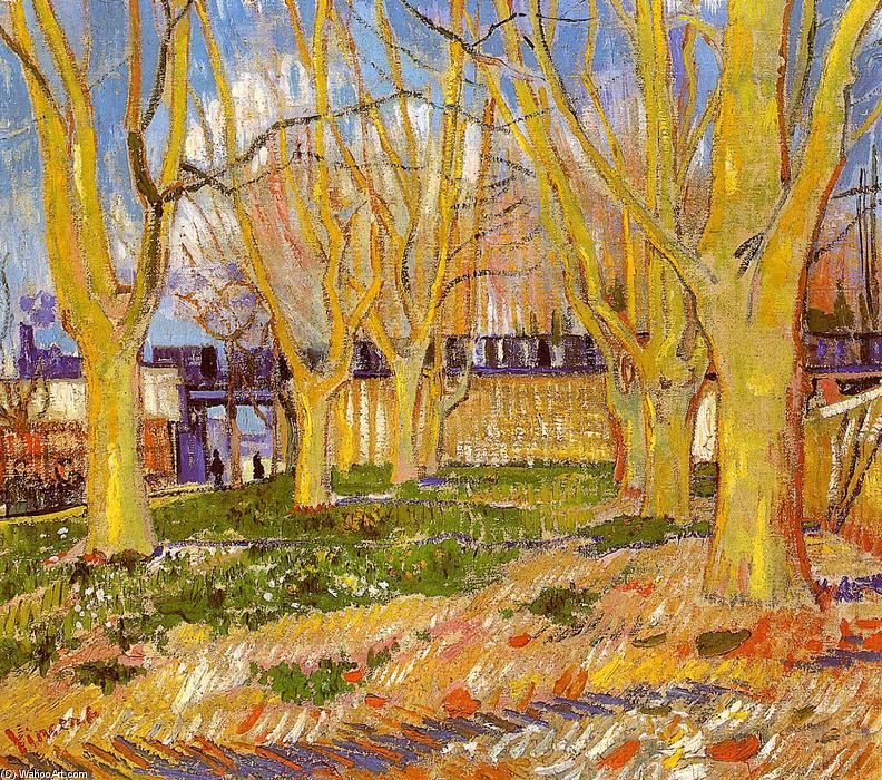 WikiOO.org - Enciklopedija likovnih umjetnosti - Slikarstvo, umjetnička djela Vincent Van Gogh - Avenue of Plane Trees near Arles Station