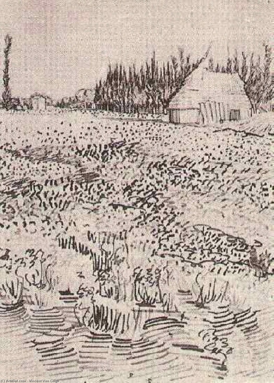 Wikioo.org - Bách khoa toàn thư về mỹ thuật - Vẽ tranh, Tác phẩm nghệ thuật Vincent Van Gogh - Landscape with Hut in the Camargue