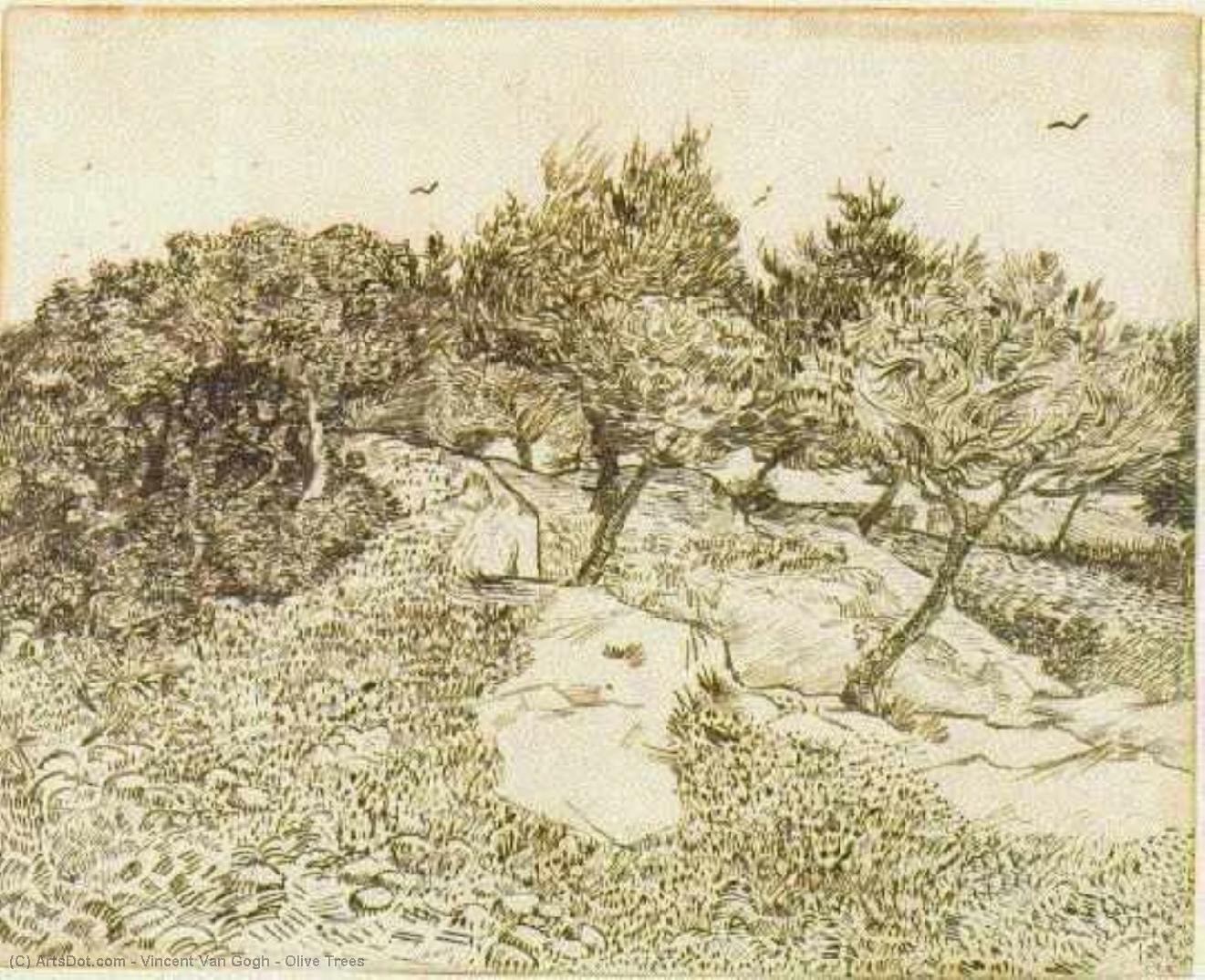 WikiOO.org - Encyclopedia of Fine Arts - Lukisan, Artwork Vincent Van Gogh - Olive Trees