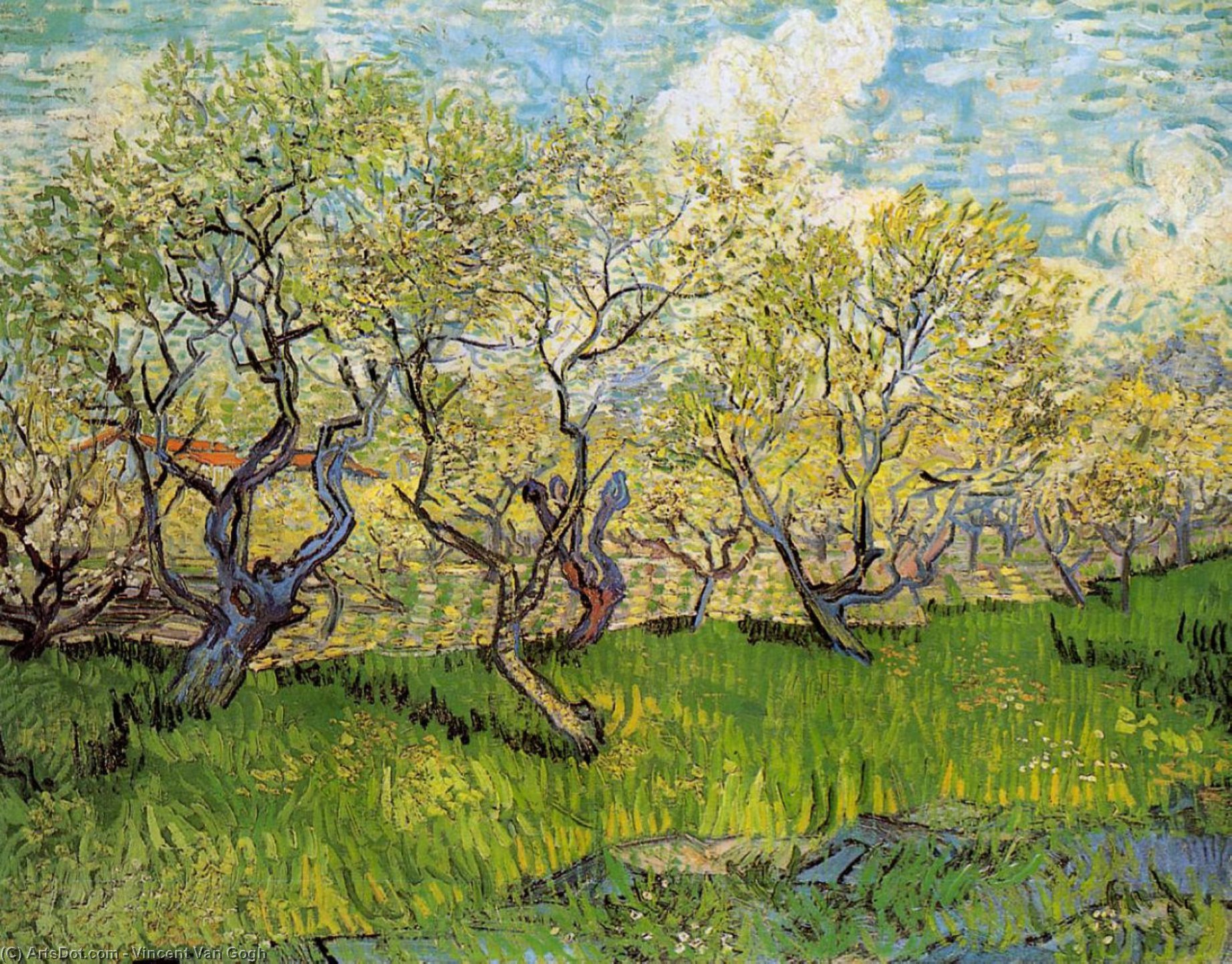 Wikioo.org - The Encyclopedia of Fine Arts - Painting, Artwork by Vincent Van Gogh - Orchard in Blossom