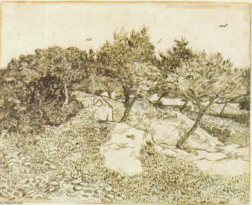 Wikoo.org - موسوعة الفنون الجميلة - اللوحة، العمل الفني Vincent Van Gogh - The Olive Trees