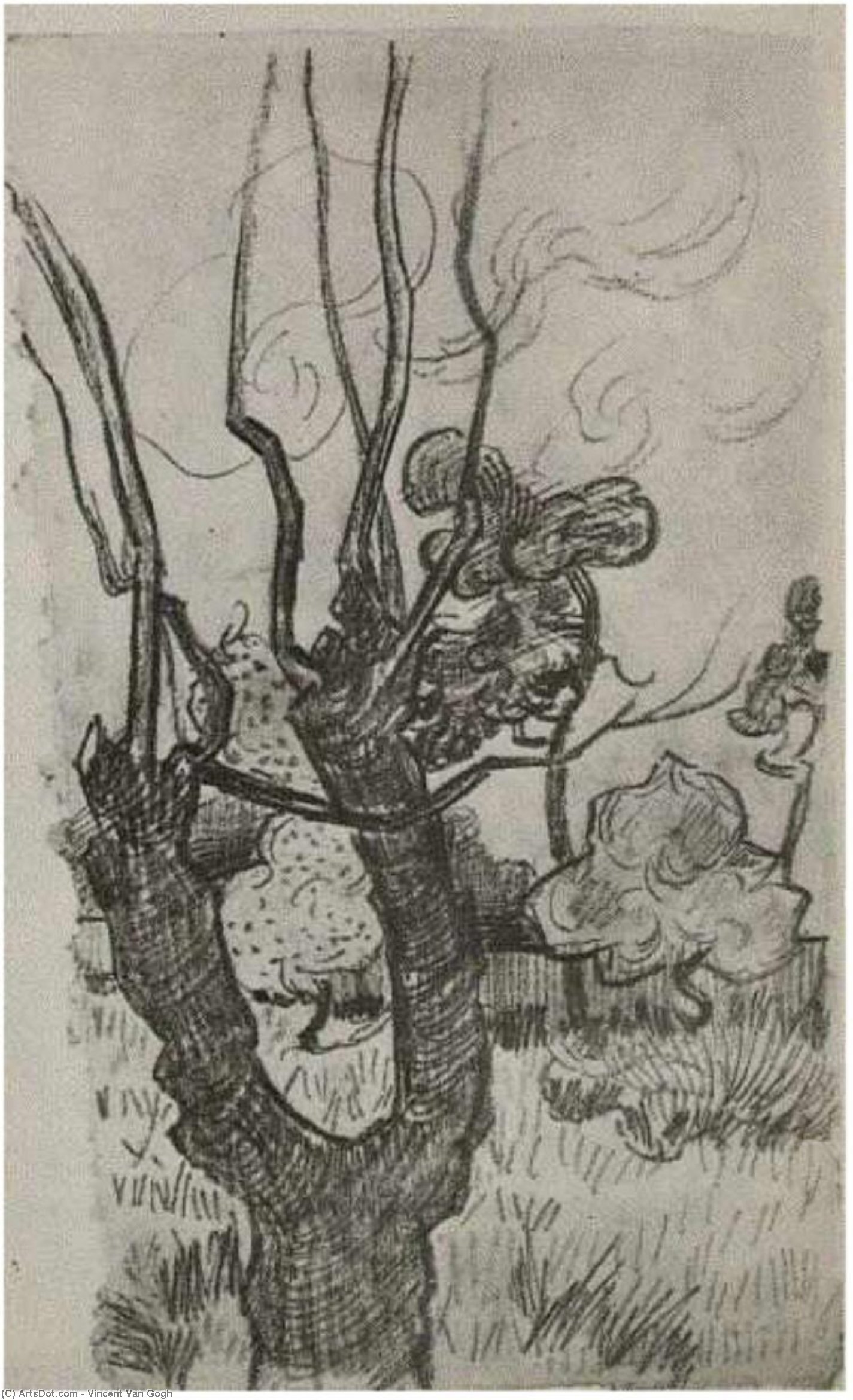 WikiOO.org - Enciklopedija likovnih umjetnosti - Slikarstvo, umjetnička djela Vincent Van Gogh - A Bare Treetop in the Garden of the Asylum
