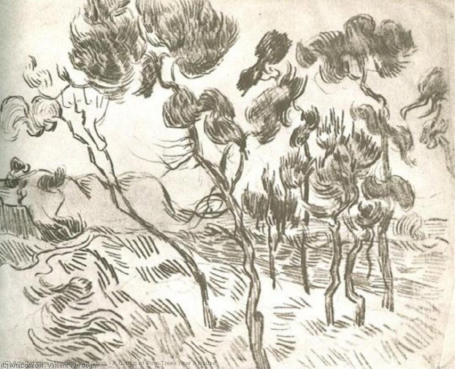 WikiOO.org - Güzel Sanatlar Ansiklopedisi - Resim, Resimler Vincent Van Gogh - A Group of Pine Trees near a House