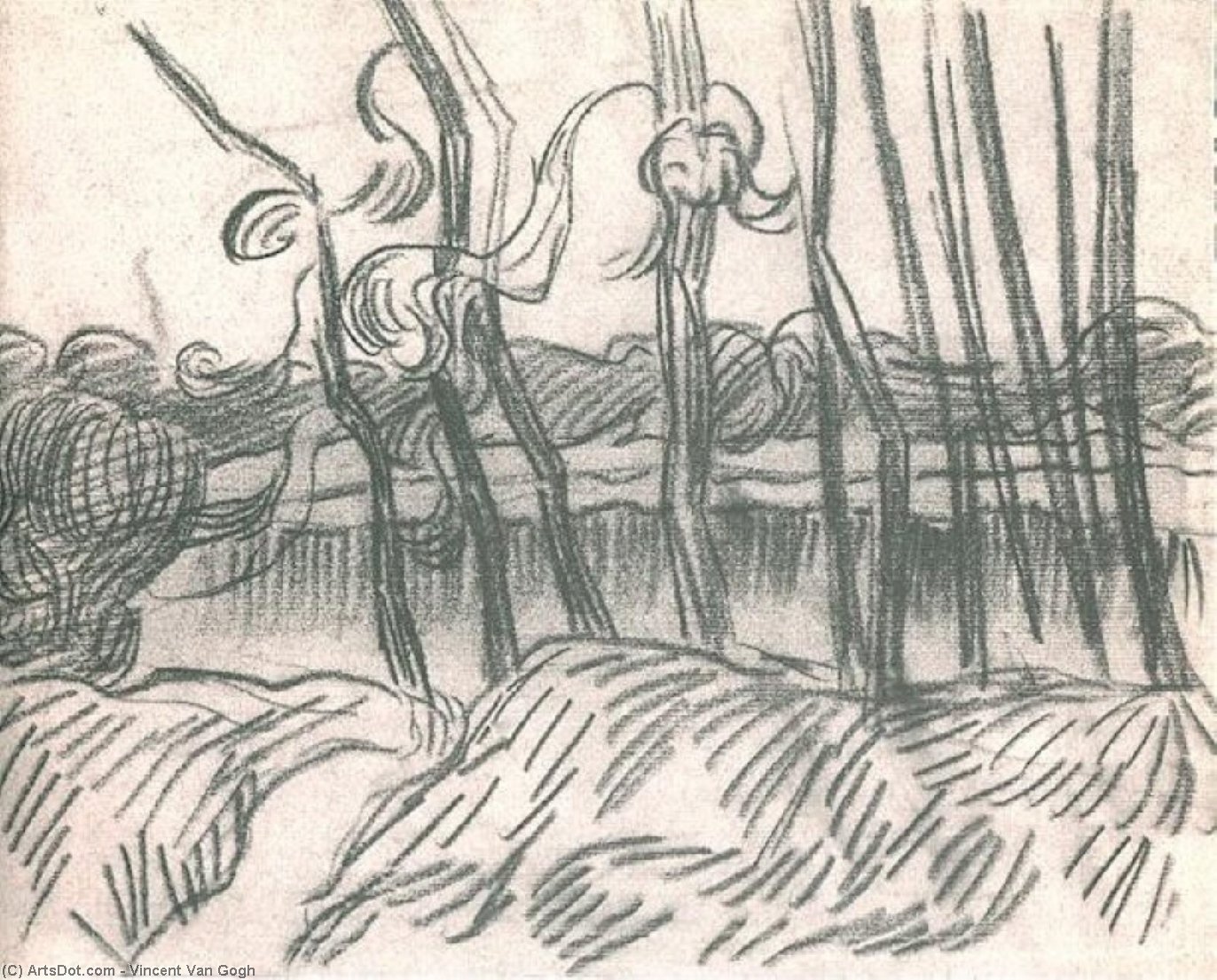 WikiOO.org - Encyclopedia of Fine Arts - Malba, Artwork Vincent Van Gogh - A Row of Bare Trees