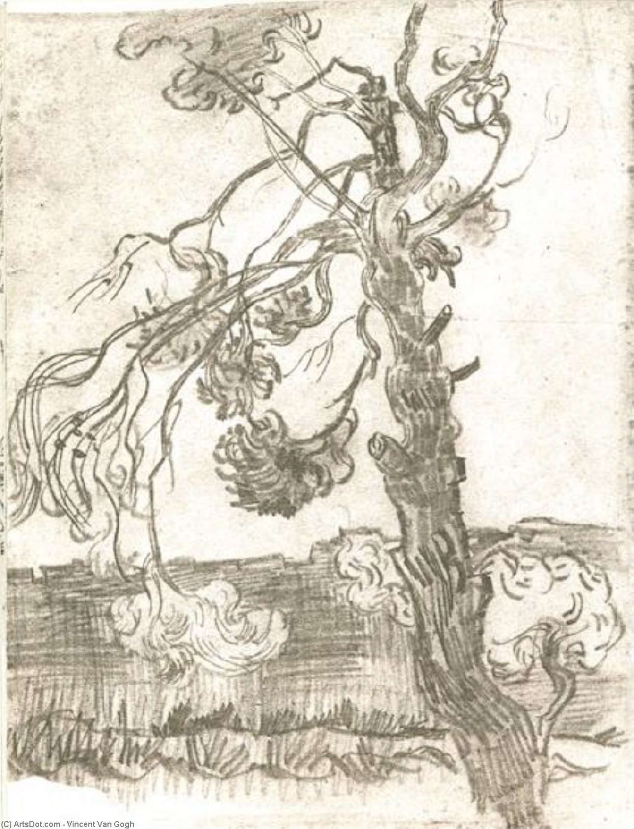WikiOO.org - Encyclopedia of Fine Arts - Lukisan, Artwork Vincent Van Gogh - A Weather-Beaten Pine Tree