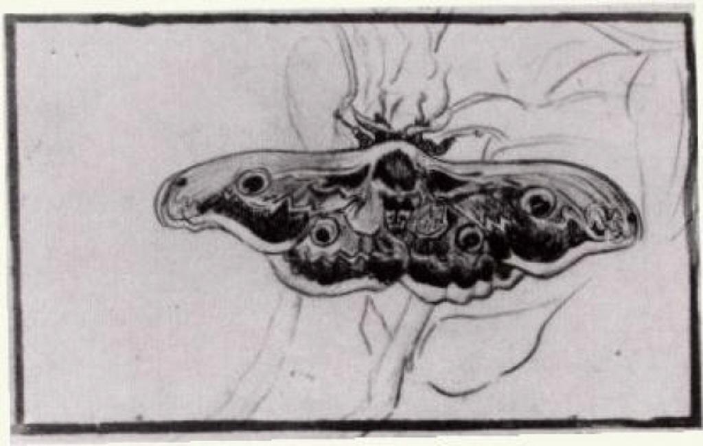 WikiOO.org - Güzel Sanatlar Ansiklopedisi - Resim, Resimler Vincent Van Gogh - Death's Head Moth