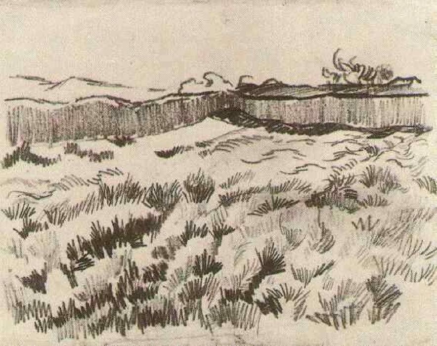 WikiOO.org - Güzel Sanatlar Ansiklopedisi - Resim, Resimler Vincent Van Gogh - Enclosed Field