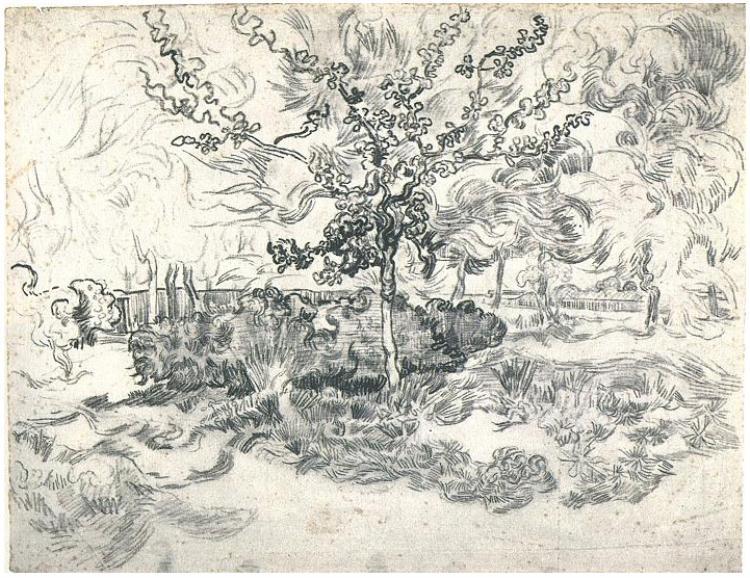 WikiOO.org - Encyclopedia of Fine Arts - Lukisan, Artwork Vincent Van Gogh - Garden of the Asylum