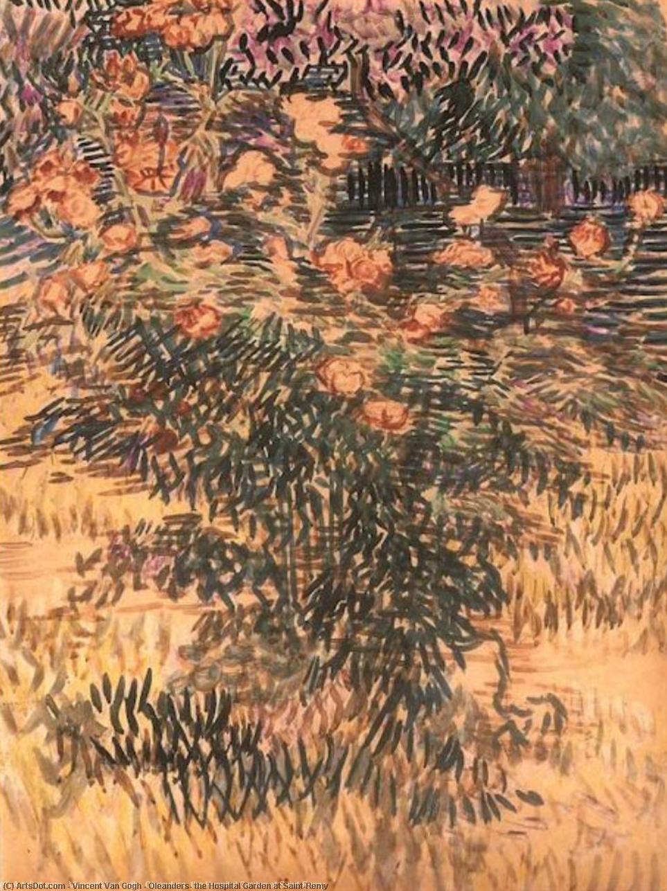Wikioo.org - The Encyclopedia of Fine Arts - Painting, Artwork by Vincent Van Gogh - Oleanders, the Hospital Garden at Saint-Remy