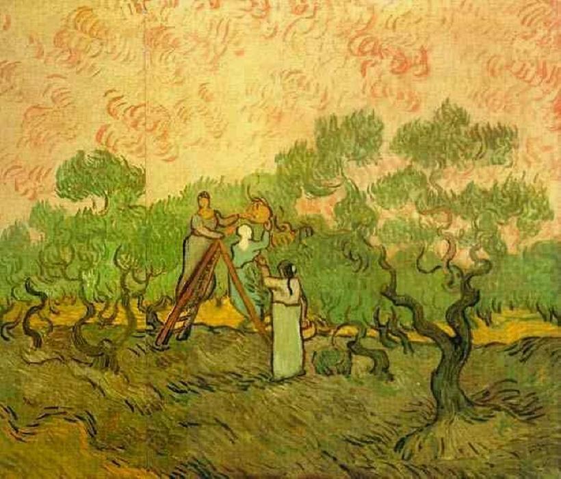 WikiOO.org - 백과 사전 - 회화, 삽화 Vincent Van Gogh - Olive Picking