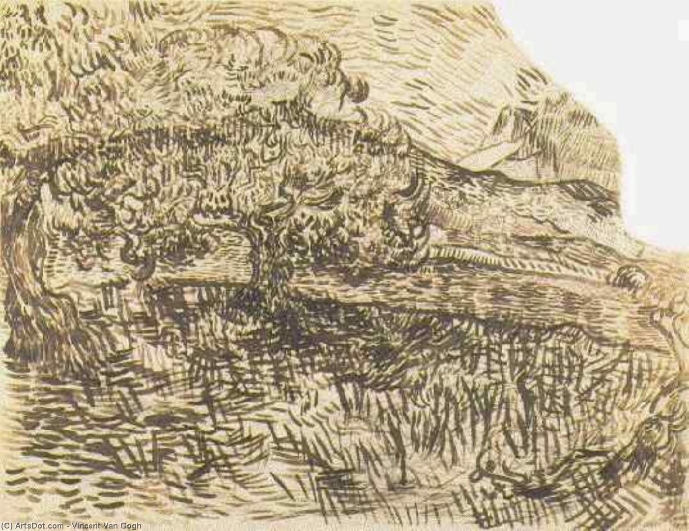 Wikioo.org - The Encyclopedia of Fine Arts - Painting, Artwork by Vincent Van Gogh - Olive Trees in a Mountain Landscape