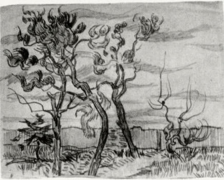Wikioo.org - Bách khoa toàn thư về mỹ thuật - Vẽ tranh, Tác phẩm nghệ thuật Vincent Van Gogh - Pine Trees in Front of the Wall of the Asylum