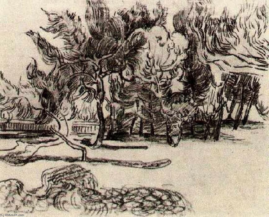 WikiOO.org - Enciklopedija likovnih umjetnosti - Slikarstvo, umjetnička djela Vincent Van Gogh - Pine Trees near the Wall of the Asylum