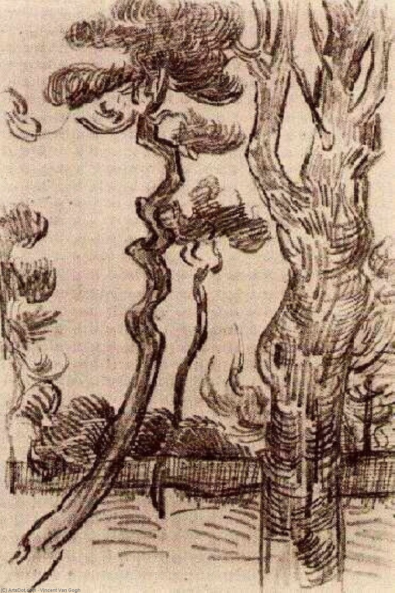 WikiOO.org - Encyclopedia of Fine Arts - Maleri, Artwork Vincent Van Gogh - Pine Trees Seen against the Wall of the Asylum
