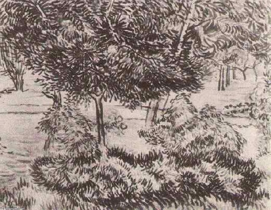 WikiOO.org - Güzel Sanatlar Ansiklopedisi - Resim, Resimler Vincent Van Gogh - Trees and Shrubs