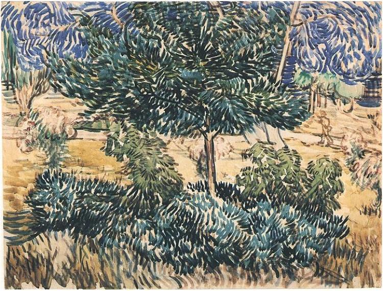 Wikioo.org – La Enciclopedia de las Bellas Artes - Pintura, Obras de arte de Vincent Van Gogh - árboles y arbustos