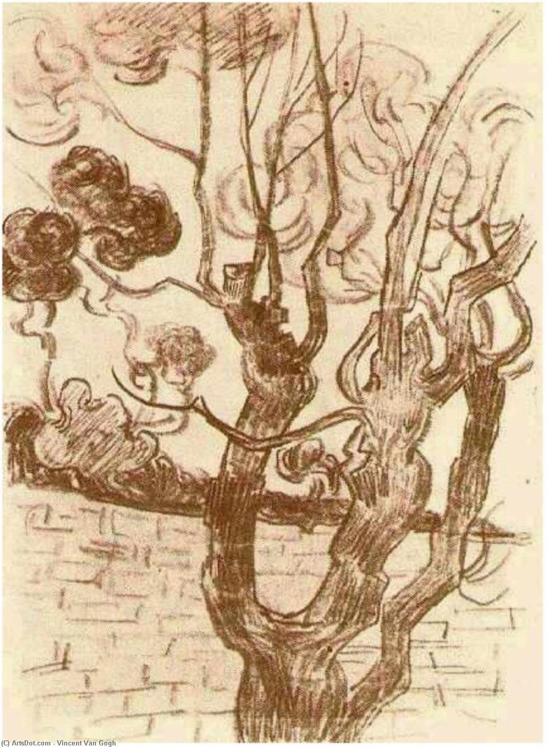 WikiOO.org - Encyclopedia of Fine Arts - Festés, Grafika Vincent Van Gogh - Treetop Seen against the Wall of the Asylum