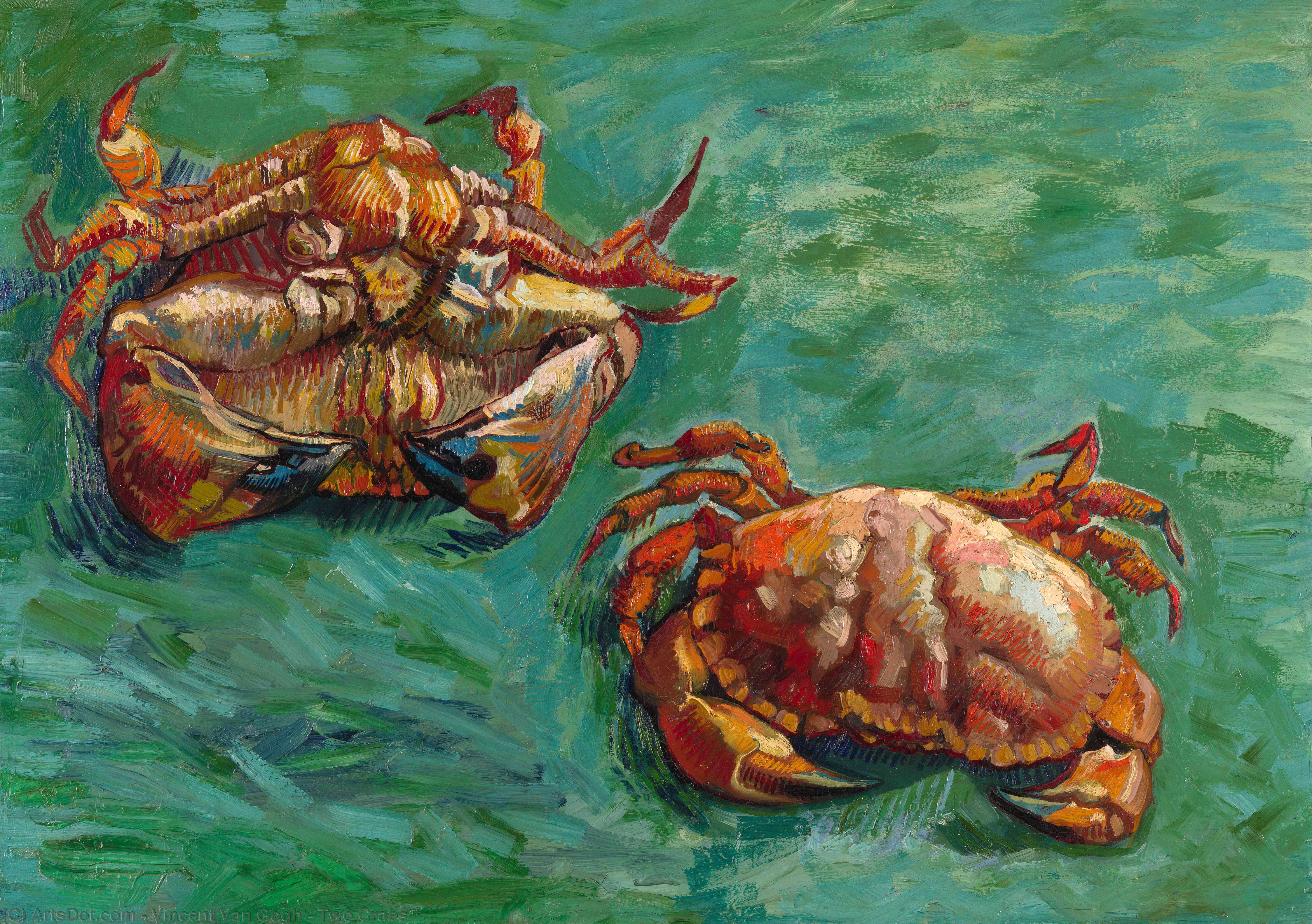 Wikioo.org - The Encyclopedia of Fine Arts - Painting, Artwork by Vincent Van Gogh - Two Crabs