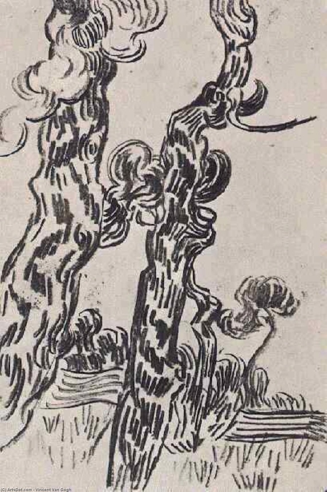 WikiOO.org - אנציקלופדיה לאמנויות יפות - ציור, יצירות אמנות Vincent Van Gogh - Two Pinetrees