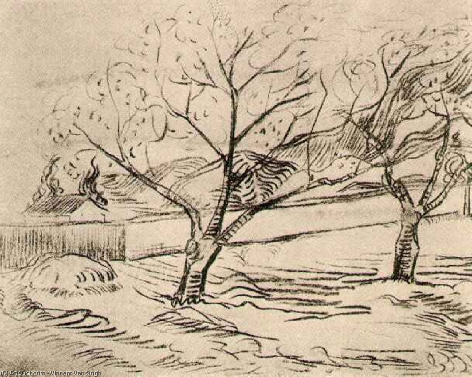 WikiOO.org - Encyclopedia of Fine Arts - Lukisan, Artwork Vincent Van Gogh - Two Trees