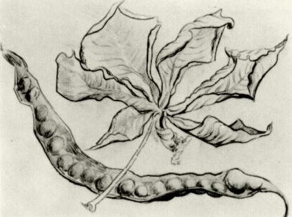 WikiOO.org - Enciklopedija likovnih umjetnosti - Slikarstvo, umjetnička djela Vincent Van Gogh - Dead Leaf and Pod