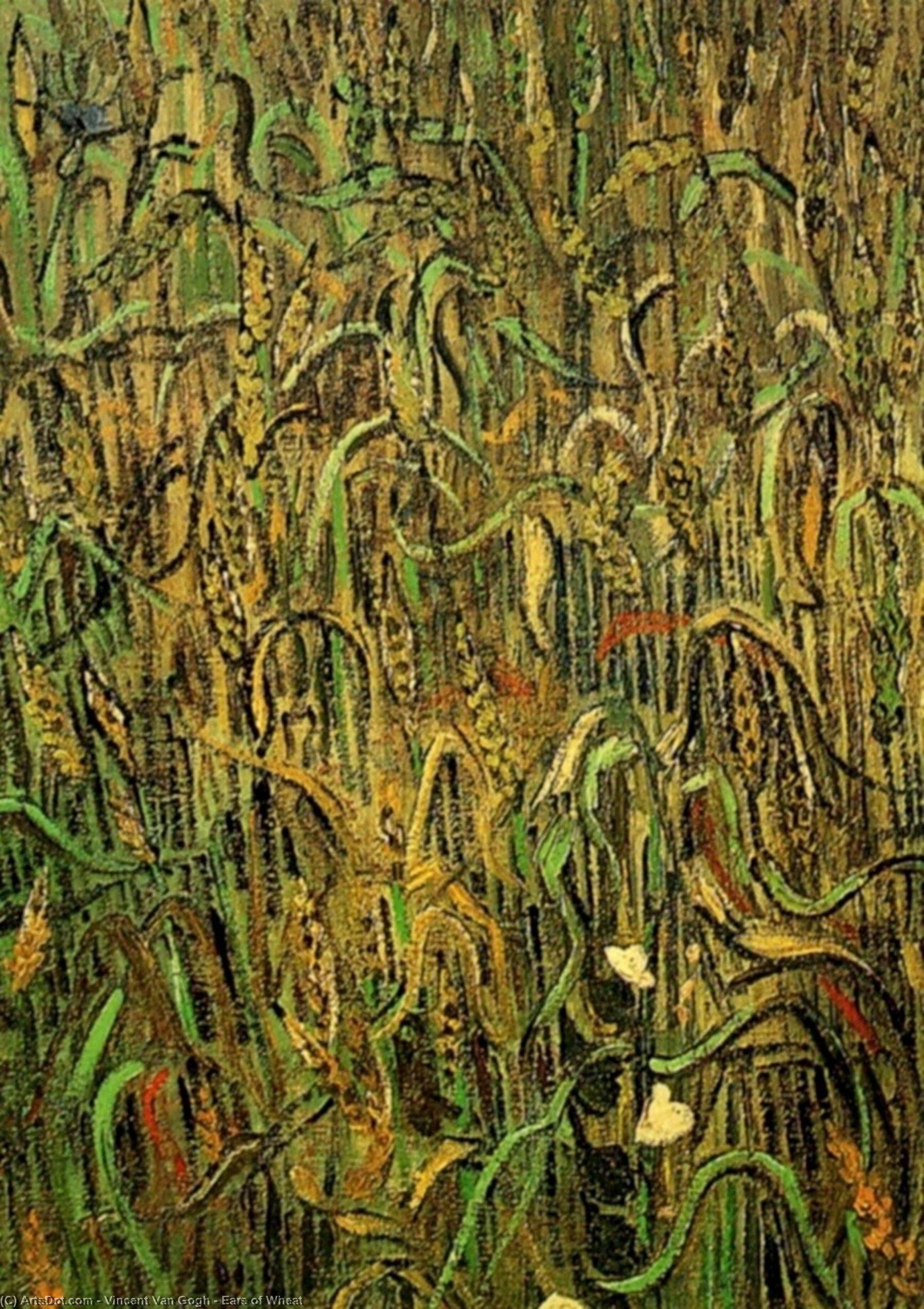 Wikioo.org - The Encyclopedia of Fine Arts - Painting, Artwork by Vincent Van Gogh - Ears of Wheat