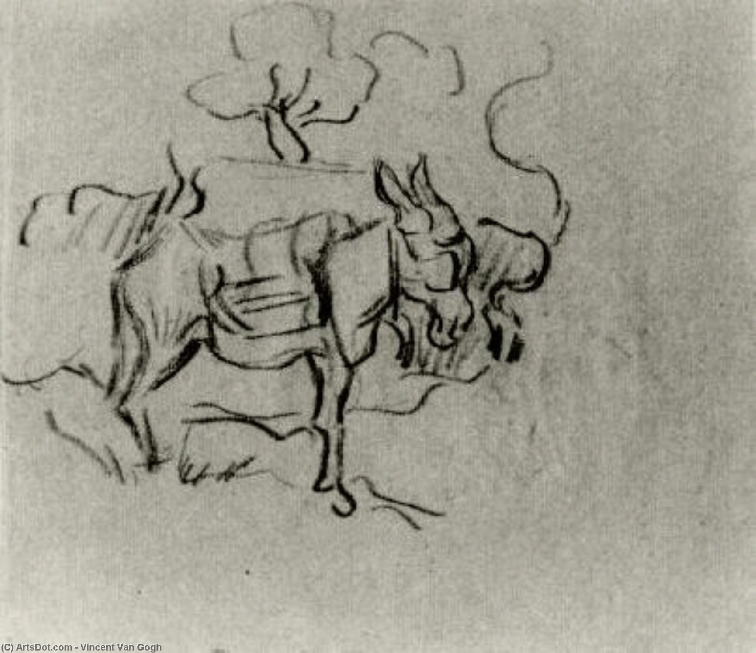 WikiOO.org - Encyclopedia of Fine Arts - Lukisan, Artwork Vincent Van Gogh - Sketch of a Donkey