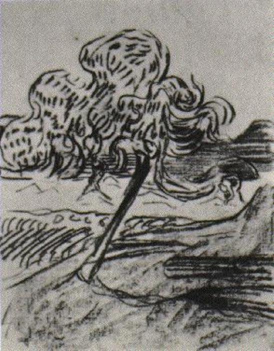 WikiOO.org - Енциклопедия за изящни изкуства - Живопис, Произведения на изкуството Vincent Van Gogh - Study of a Fruit Tree