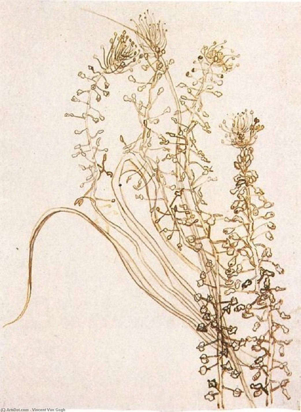 WikiOO.org - Encyclopedia of Fine Arts - Malba, Artwork Vincent Van Gogh - Blossoming Branches