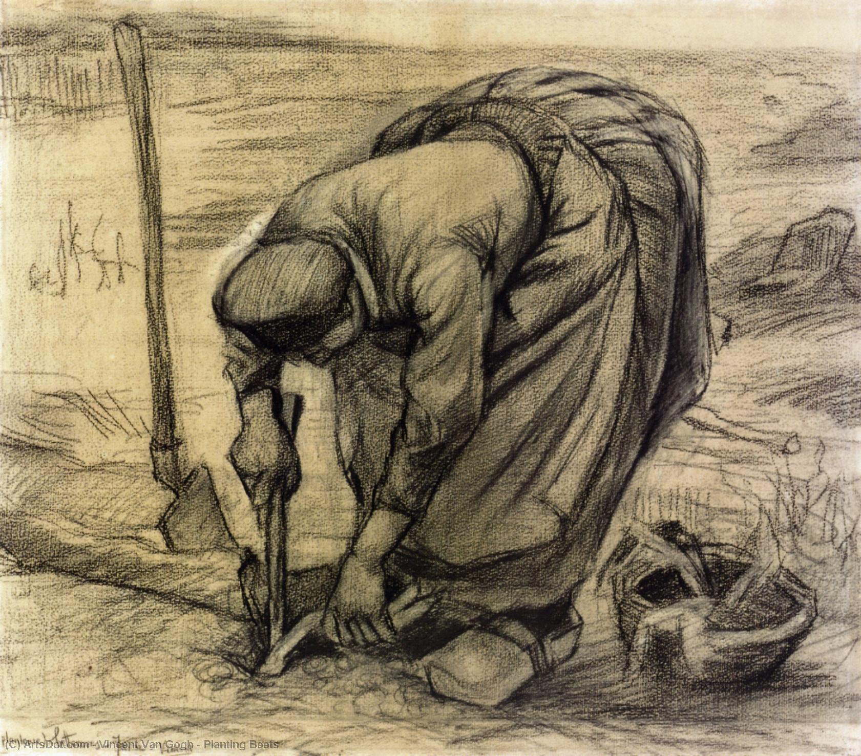 WikiOO.org - 백과 사전 - 회화, 삽화 Vincent Van Gogh - Planting Beets